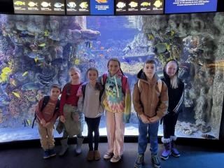 February Vacation Trips 2025 2 (JPEG)