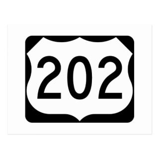 Route 202 sign