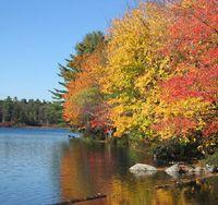 Fall foliage and lake
